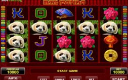 Jugar Panda