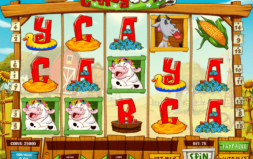 Jugar Crazy Cows Mobile