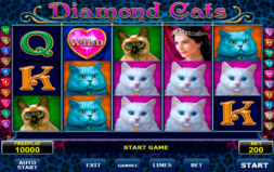 Jugar Diamond Cats