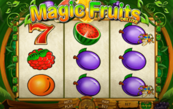 Jugar Magic Fruits Deluxe