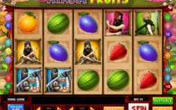 Jugar Ninja Fruits Mobile