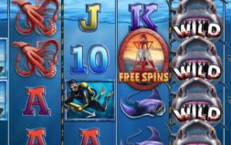 Jugar Wild Shark