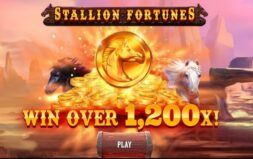 Jugar Stallion Fortunes