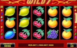 Jugar Wild 7